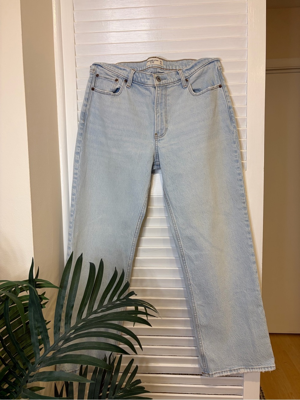 Abercrombie & Fitch The Baggy Low Rise Jeans Size 29/8s